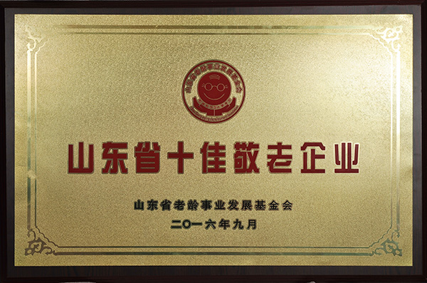山东省十佳敬老企业